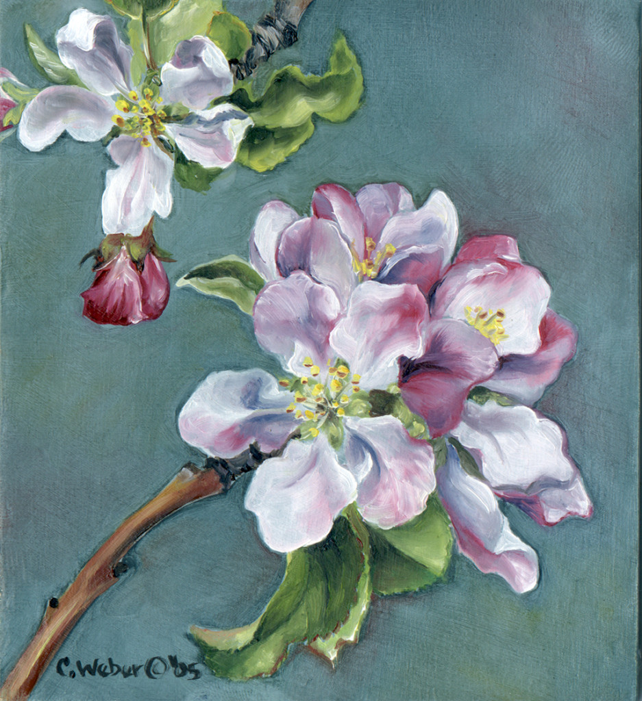 cathy weber - art - painting - woman -flower - watercolor- montana - painting - parchment - skin - botanical - study - wildflower - oil painting