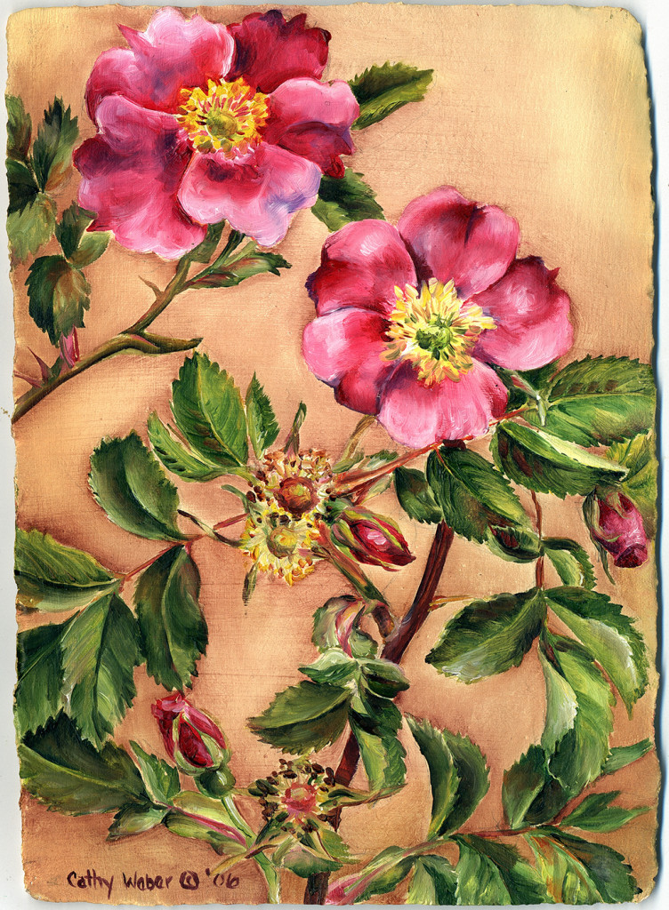 cathy weber - art - painting - woman -flower - watercolor- montana - painting - parchment - skin - botanical - study - wildflower - oil painting