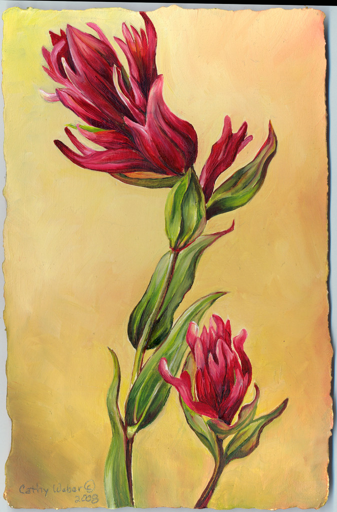 cathy weber - art - painting - woman -flower - watercolor- montana - painting - parchment - skin - botanical - study - wildflower - oil painting