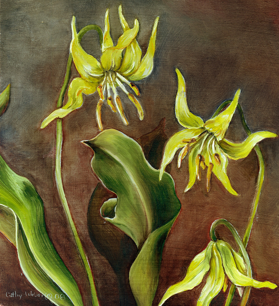 cathy weber - art - painting - woman -flower - watercolor- montana - painting - parchment - skin - botanical - study - wildflower - oil painting