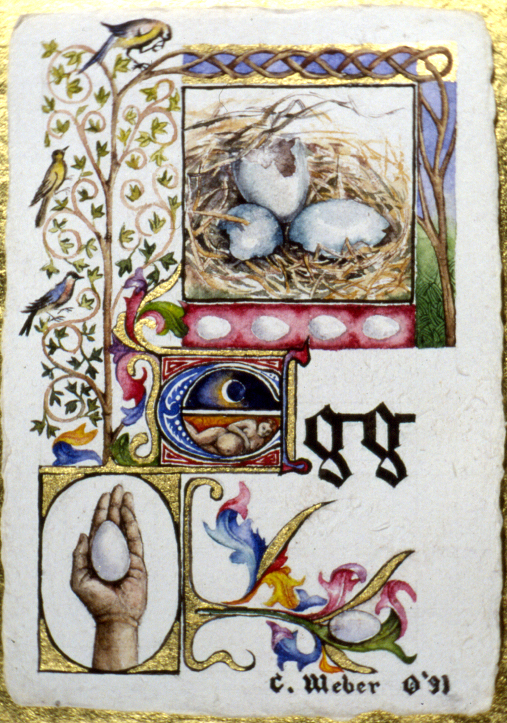 cathy weber - art - illumination - calligraphy - manuscript - watercolor - woman - egg - montana