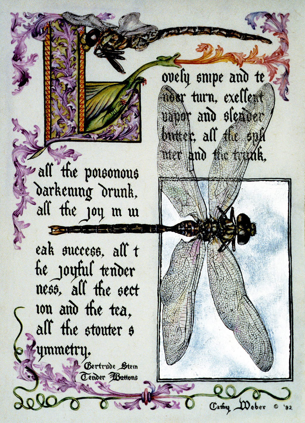 cathy weber - art - illumination - calligraphy - manuscript - watercolor - woman - rose - montana - gertrude stein - tender buttons - dragonfly