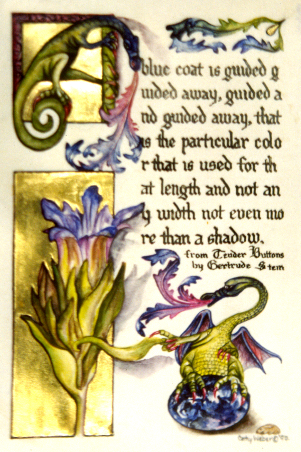 cathy weber - art - illumination - calligraphy - manuscript - watercolor - woman - rose - montana - gertrude stein - tender buttons