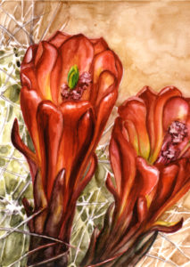 cathy - weber - artmaker - art - woman - oil - montana - painting - oil -poem - object - card - notecard - claret - cactus