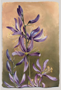 cathy - weber - artmaker - art - woman - oil - montana - painting - oil -poem - object - card - notecard - camus