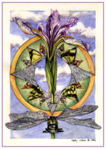 cathy - weber - artmaker - art - woman - oil - montana - painting - oil -poem - object - card - notecard - compass rose