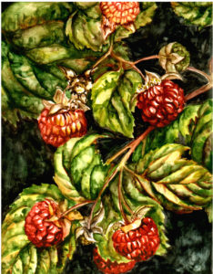 cathy - weber - artmaker - art - woman - oil - montana - painting - oil -poem - object - card - notecard - raspberry