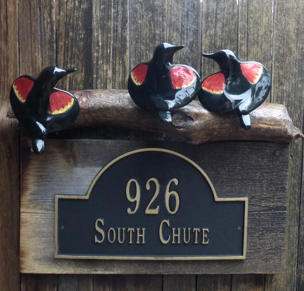 cathy weber - art - clay- woman - montana - ceramic - porcelain - bird - redwing - red winged - blackbird