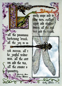 cathy weber - art - painting - woman -dragonfly - watercolor -illumination- montana - painting - parchment - skin - versal - gertrude stein