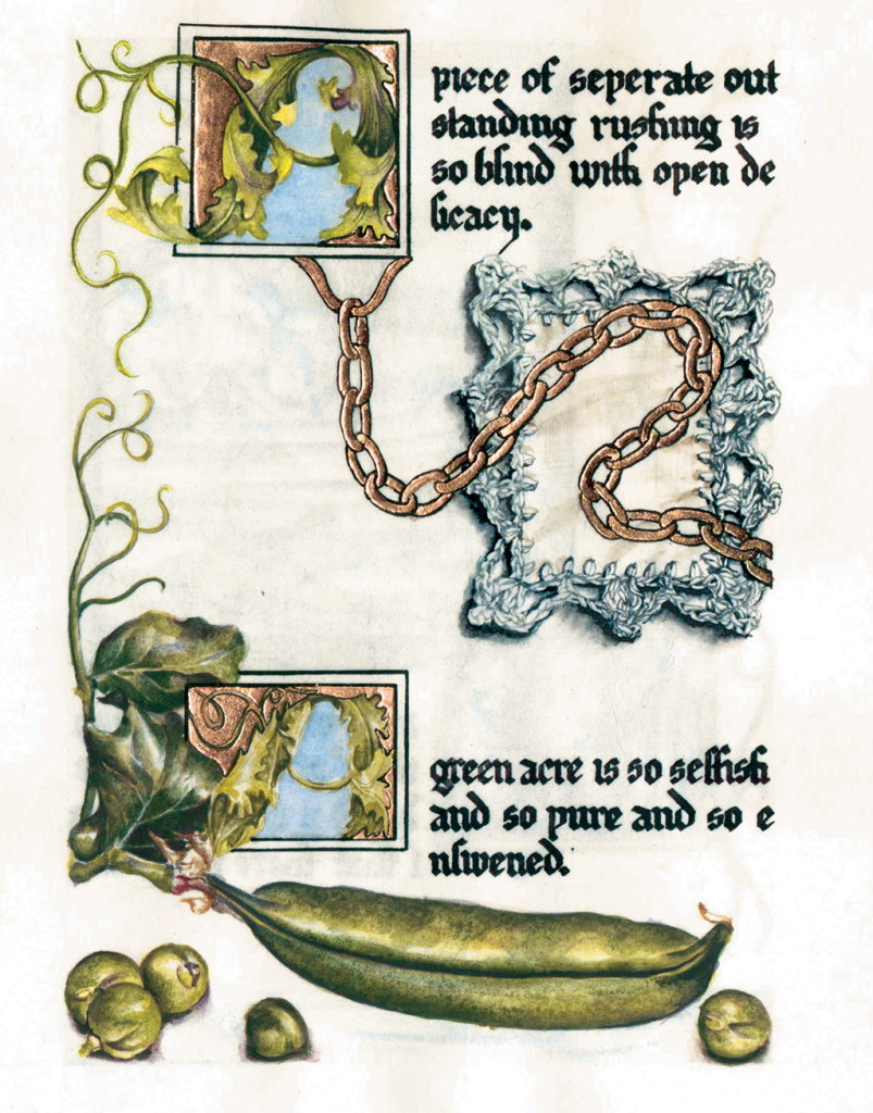 cathy weber - art -gertrude stein - painting - woman -dragonfly - watercolor -illumination- montana - painting - parchment - skin - versal