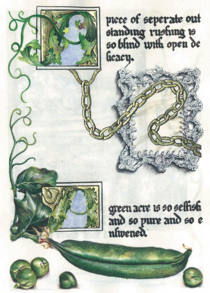 cathy weber - art - artmaker - watercolor - parchment- montana - Gertrude - stein - tender buttons - illumination - book - artist