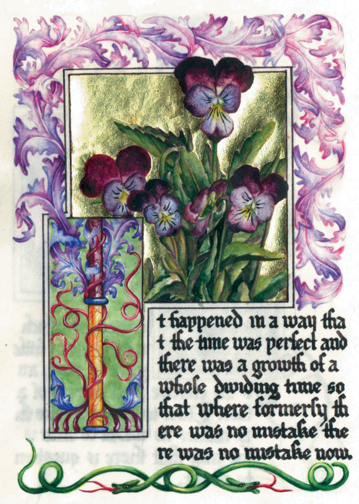 cathy weber - art - artmaker - watercolor - parchment- montana - Gertrude - stein - tender buttons - illumination - book - artist