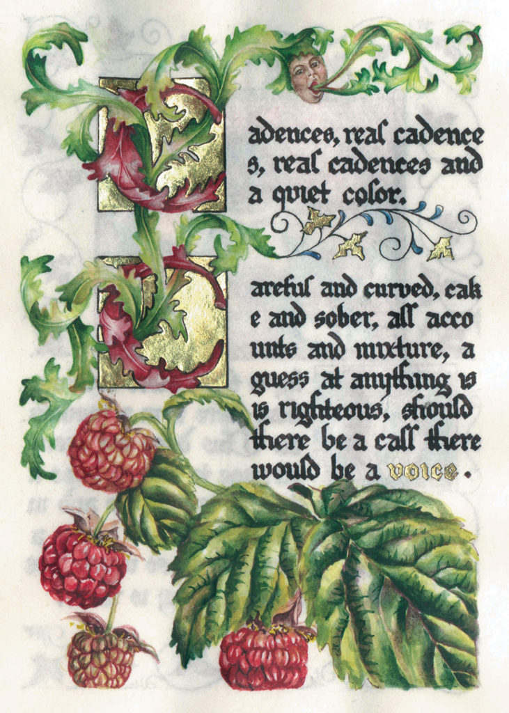 cathy weber - art - artmaker - watercolor - parchment- montana - Gertrude - stein - tender buttons - illumination - book - artist