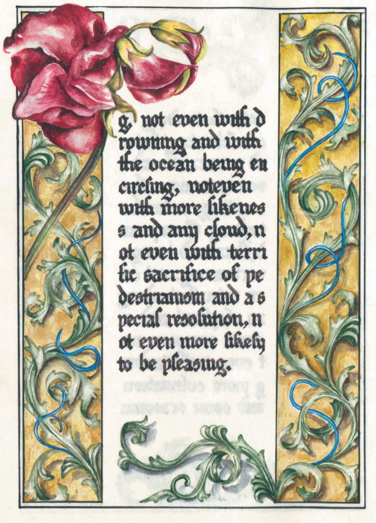 cathy weber - art - artmaker - watercolor - parchment- montana - Gertrude - stein - tender buttons - illumination - book - artist