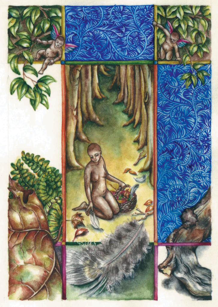 cathy weber - art - artmaker - watercolor - parchment- montana - Gertrude - stein - tender buttons - illumination - book - artist