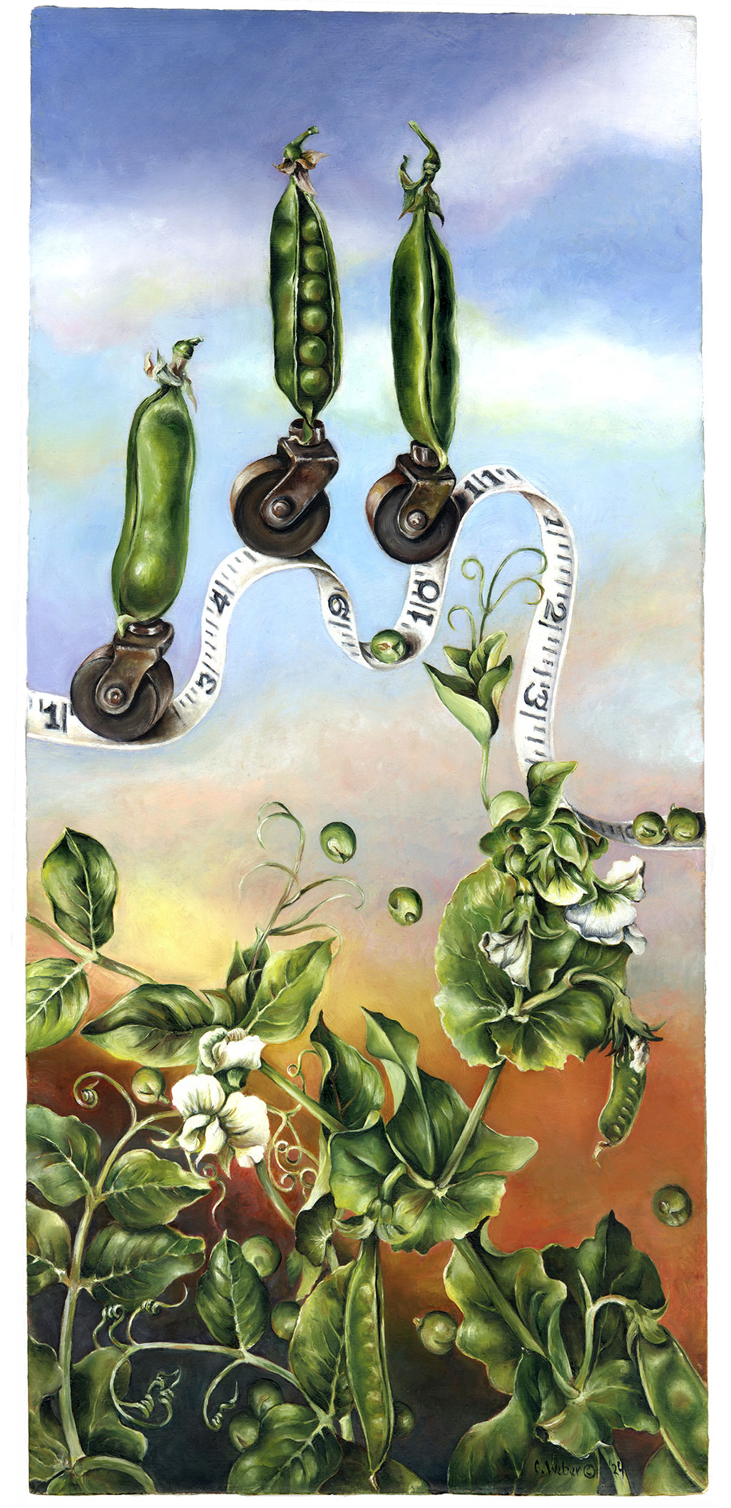 cathy weber - art - painting - woman - oil - montana - oil - object - pea - tape measure - wheel