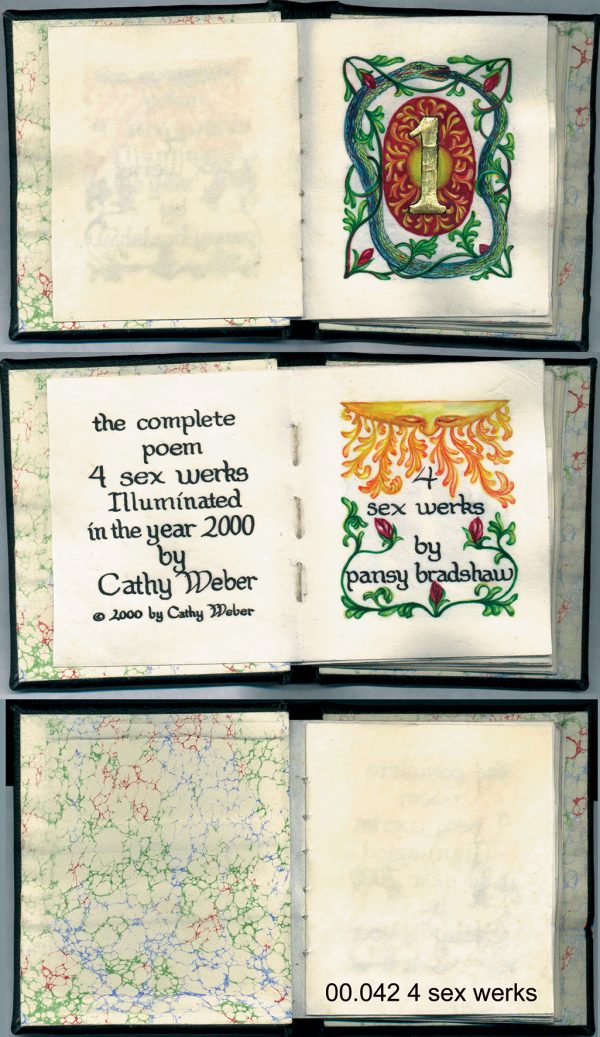 athy weber - art - painting - woman - book art - artist book - book - montana - watercolor - skin - pansy bradshaw - poetry - sex