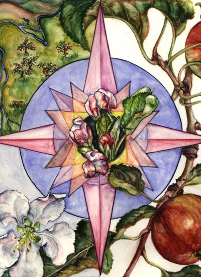 cathy weber - art - artmaker - watercolor - montana - illumination - book - artist - map - compass rose - parchment