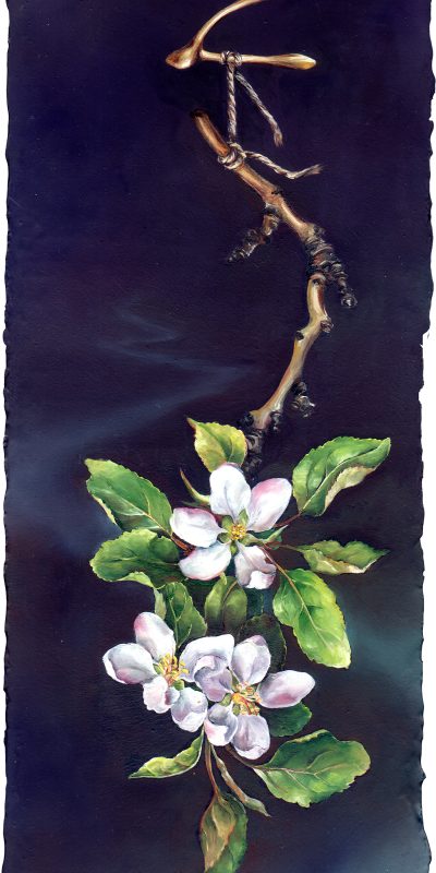 cathy weber - art - painting - woman - oil - montana - painting - oil - botanical - ribbon - apple - blossom - river - oil painting
