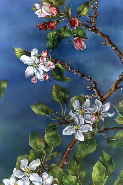 20.010 - cathy weber - art - painting - woman -flower - apple blossom - montana - painting - parchment - skin - botanical - study - wildflower - oil painting - bumble bee