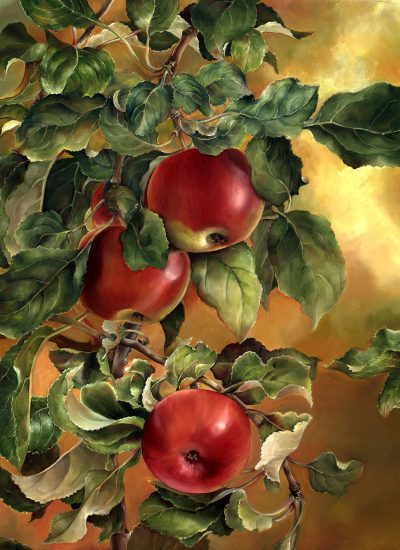 23.001 - cathy weber - art - painting - woman -fruit - apple - montana - painting - parchment - skin - botanical - study - fruiting tree - oil painting