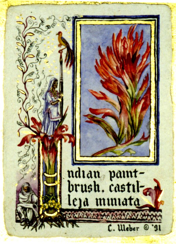 cathy weber - art - painting - woman - moon phase - watercolor -illumination- montana - painting - parchment - paper - versal